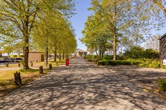 52. Omgeving straatbeeld.jpg